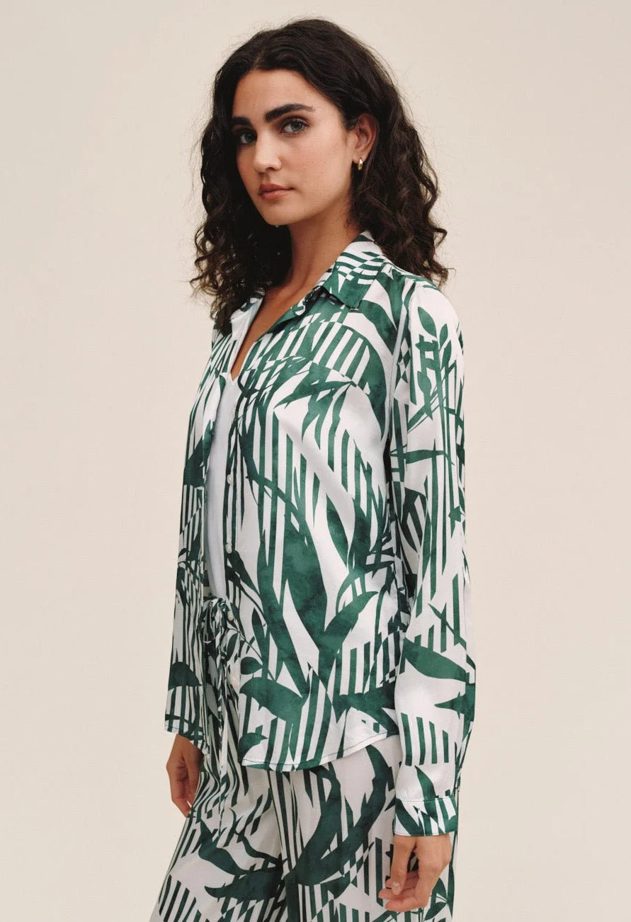 Classic Button Down Shirt