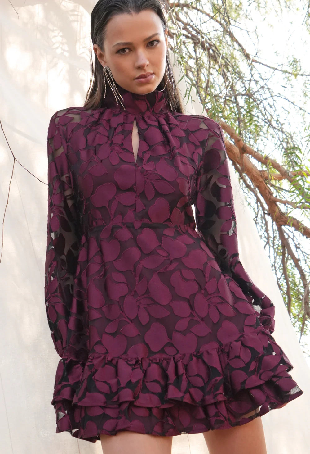 Elinor Velvet Burnout Mock Neck Dress