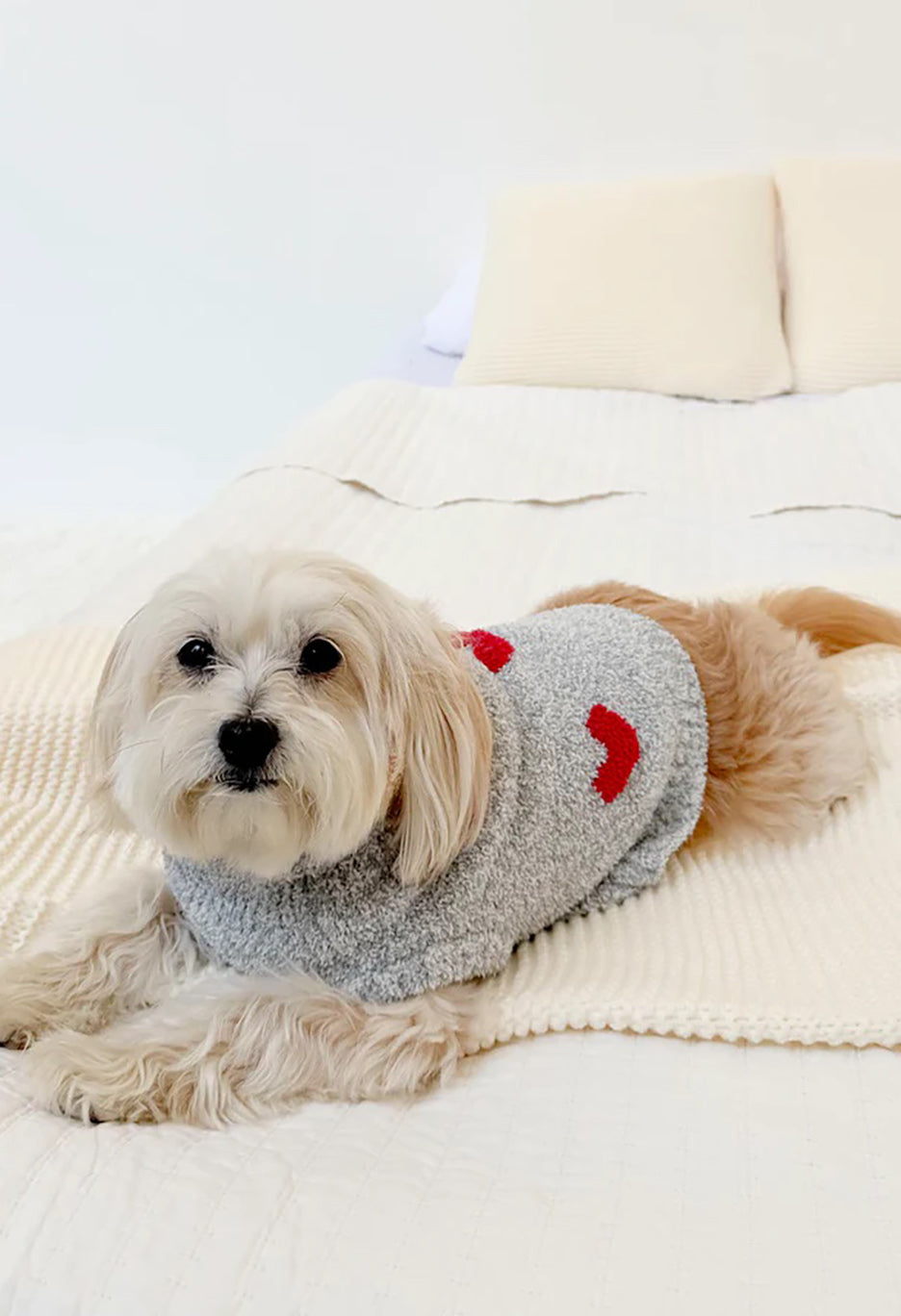 Fuzzy Pet Sweater