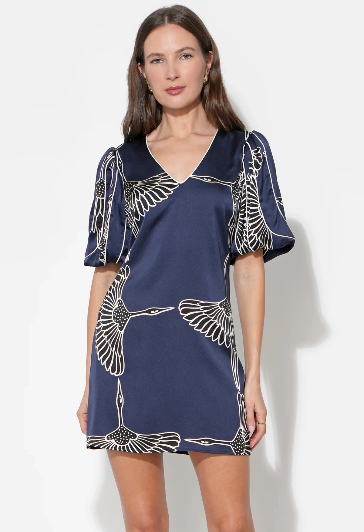 Sylvie V Neck Bubble Sleeve Dress