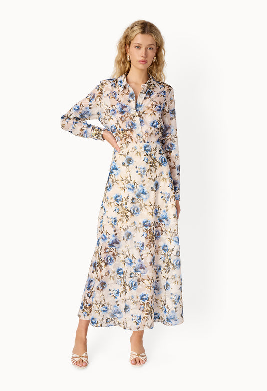 Elouisa Burnout Chiffon Gown