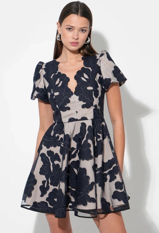 Agnes Embroidered Puff Sleeve Dress