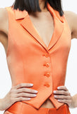 Amber Collared Vest