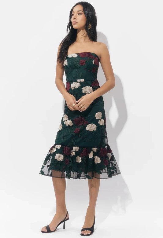 Calita Strapless Embroidered Dress