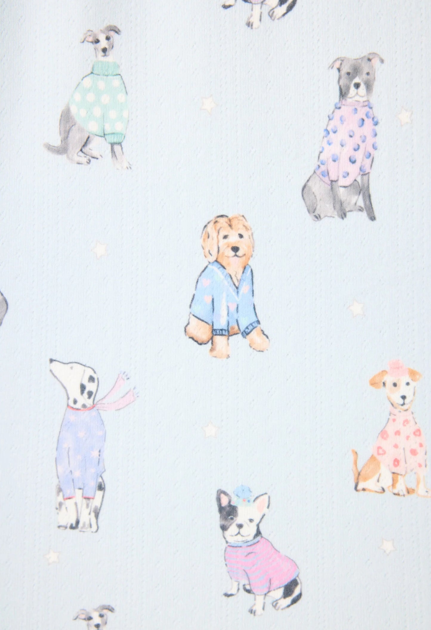 Doggone Cold Pj Set