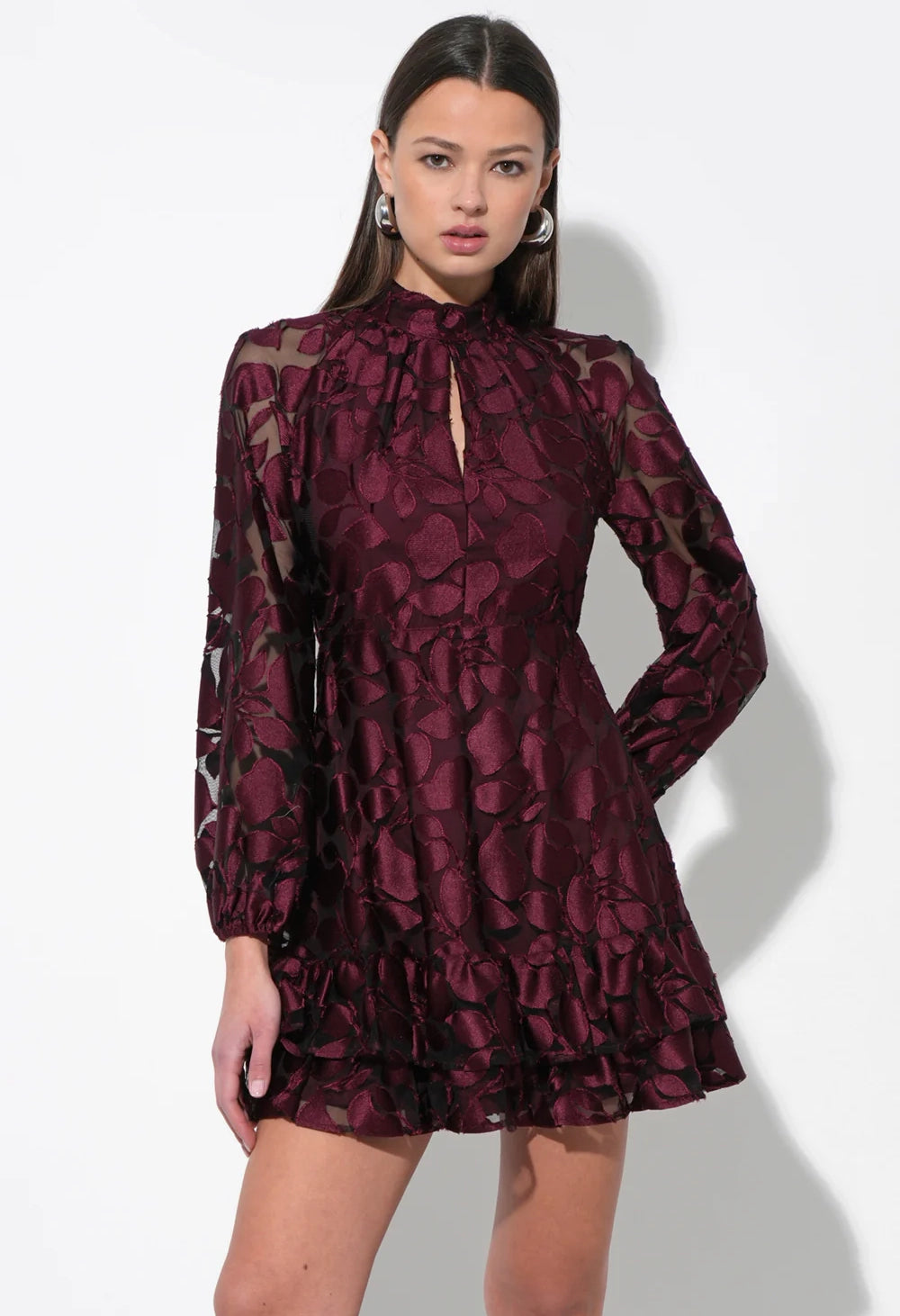 Elinor Velvet Burnout Mock Neck Dress