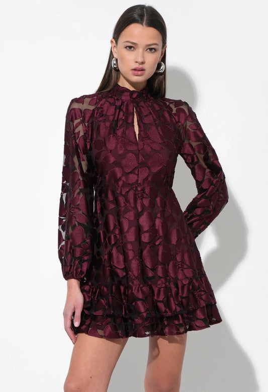 Elinor Velvet Burnout Mock Neck Dress