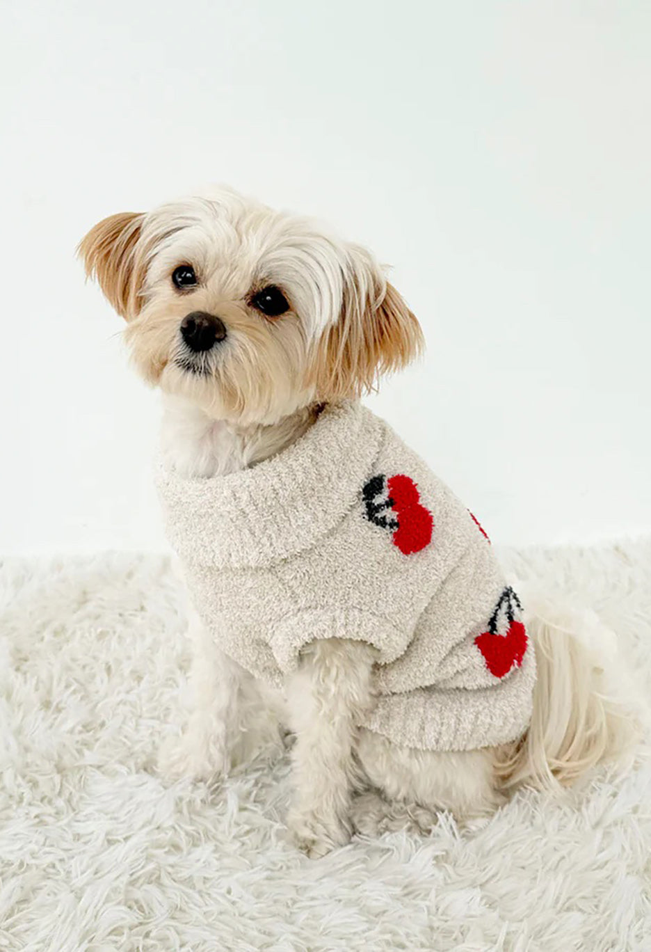 Fuzzy Pet Sweater