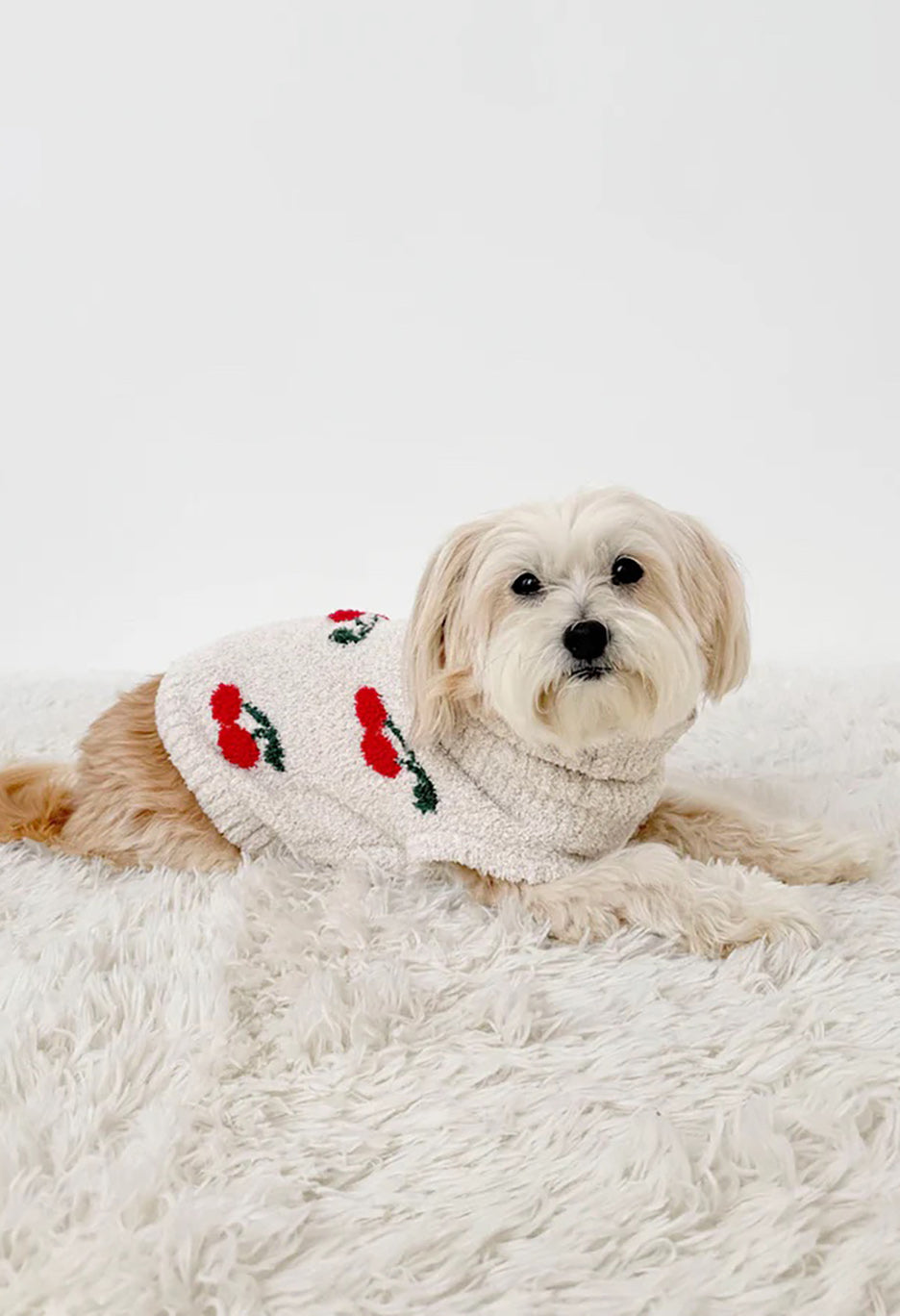 Fuzzy Pet Sweater