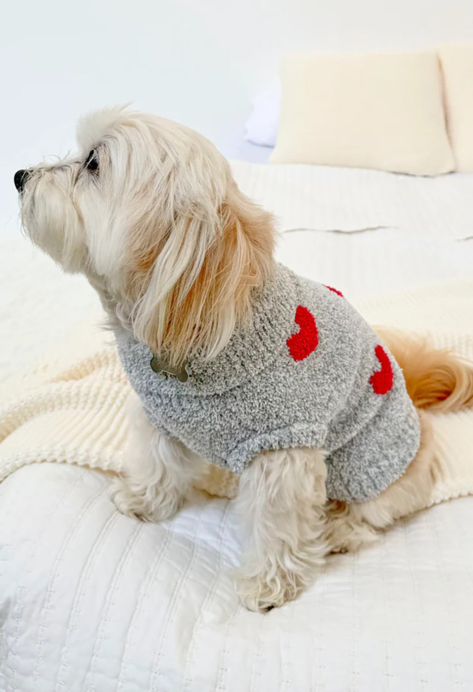 Fuzzy Pet Sweater