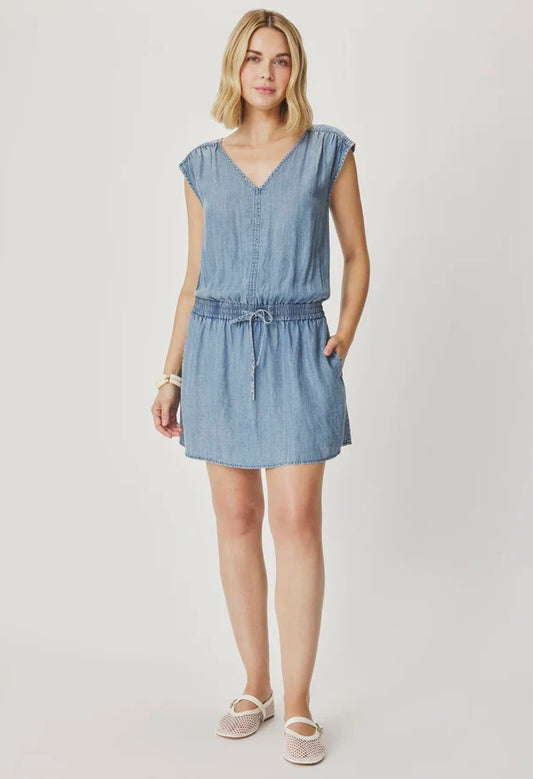 Ginger Indigo Mini Dress