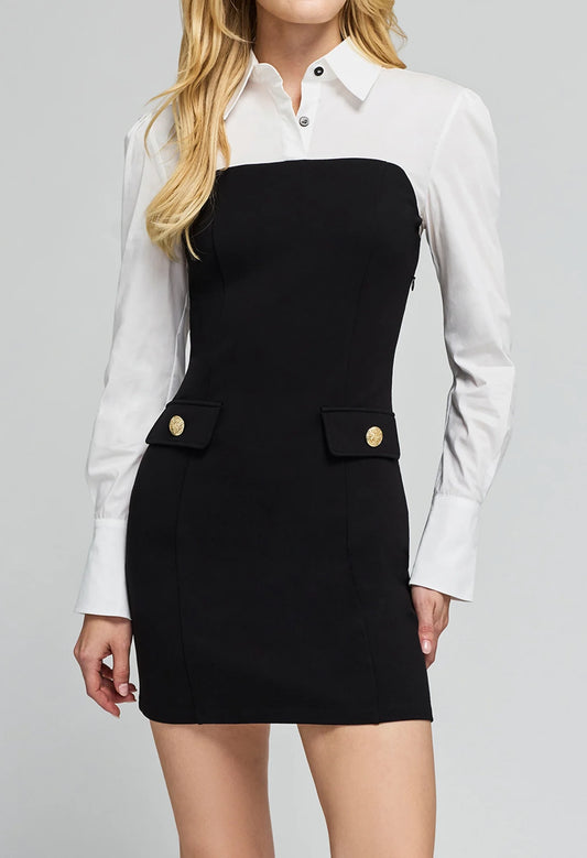 Jacqueline Poplin Combo Ponte Dress