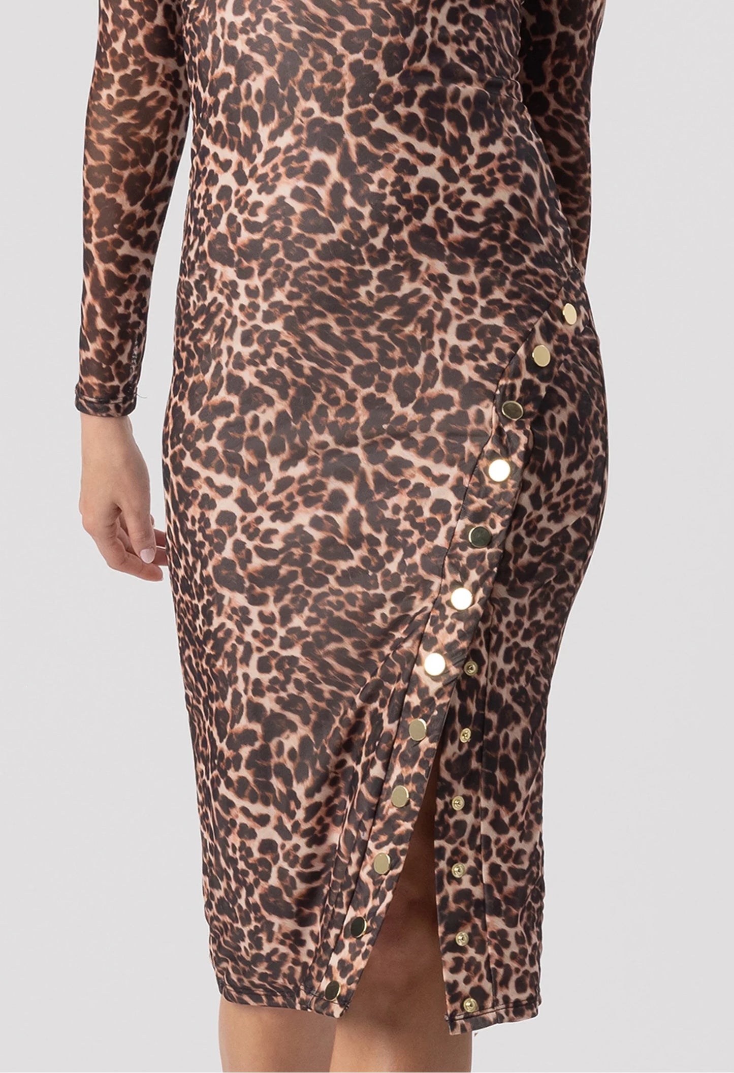 Monique Leo Mesh Dress