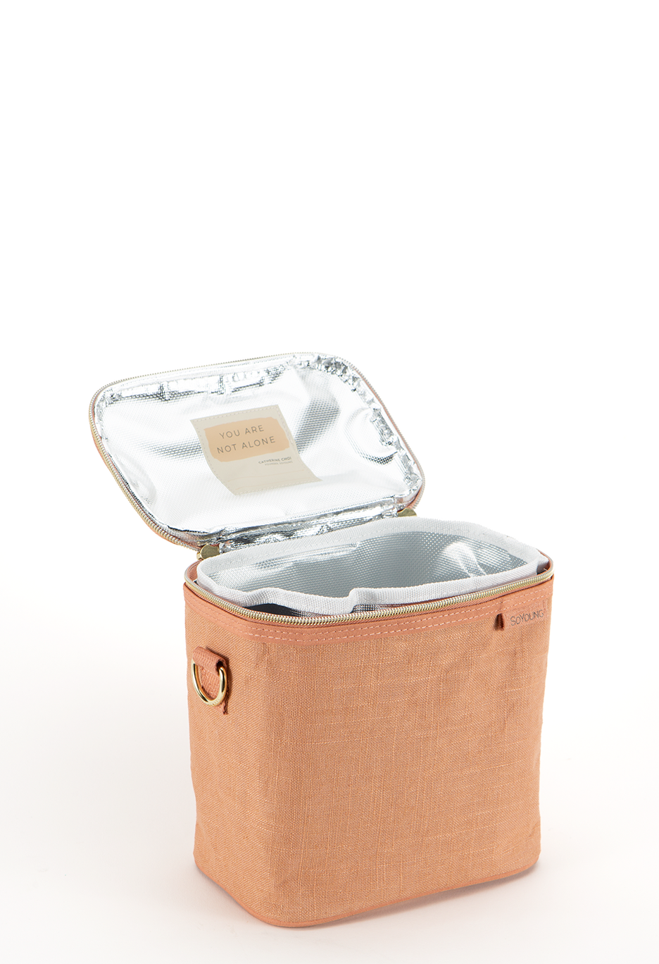 Muted Clay Petite Lunch Poche