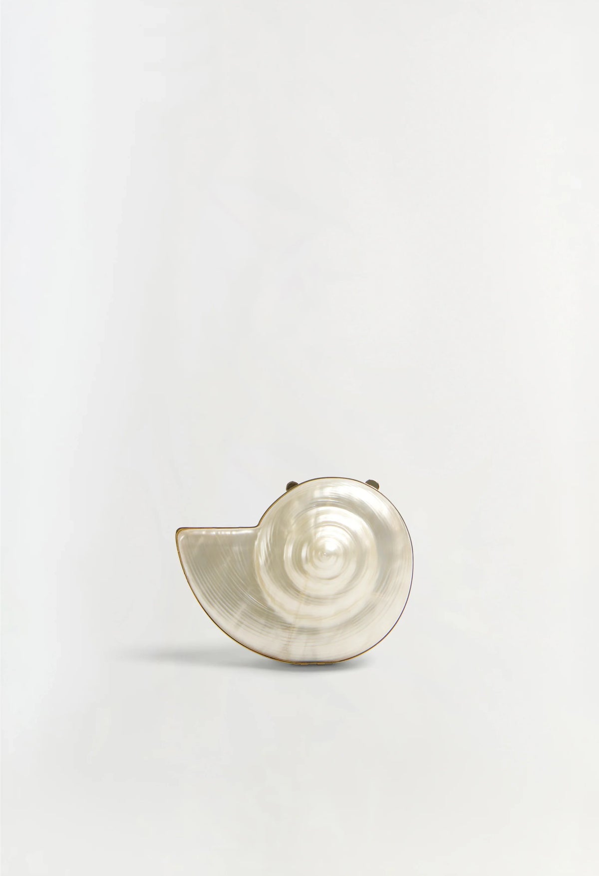 Shell Crutch Marion Acrylic Shell Clutch – Who Cares? Wear