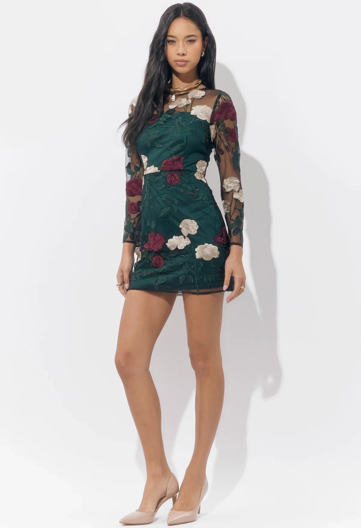 Noia Embroidered Mini Dress