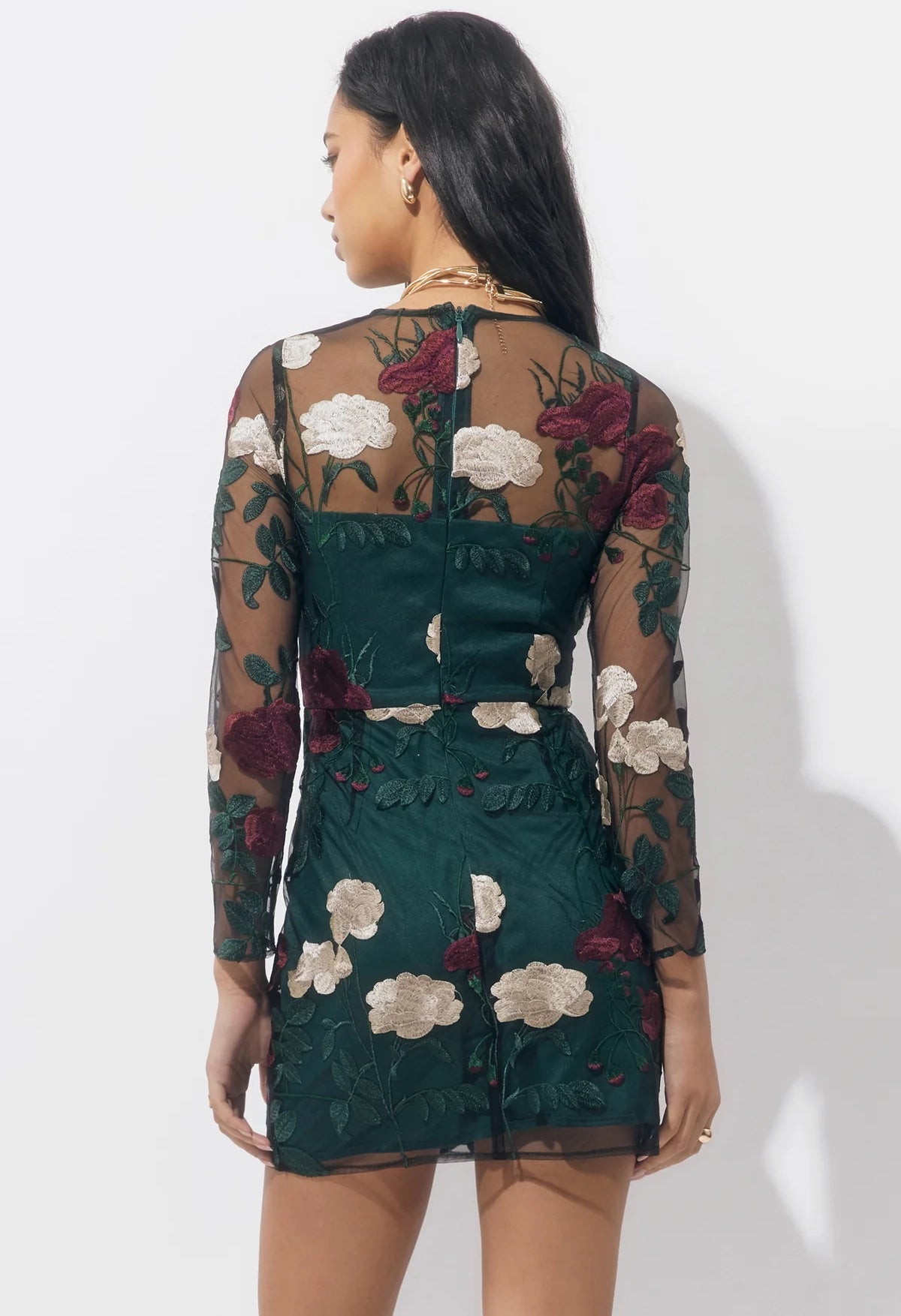 Noia Embroidered Mini Dress