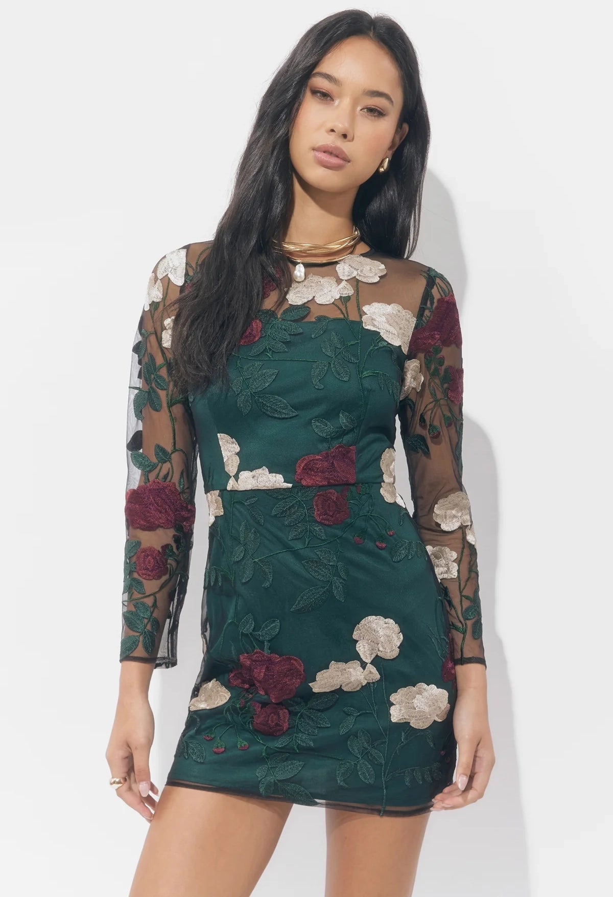 Noia Embroidered Mini Dress
