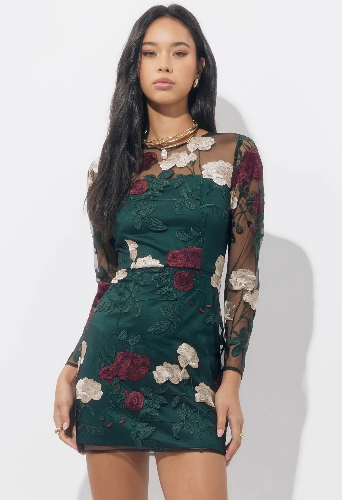 Noia Embroidered Mini Dress