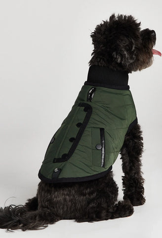 Patou Quilted Dog Coat