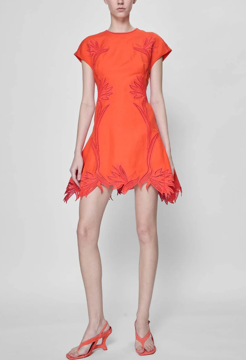 Raquel Embroidered Mini Dress