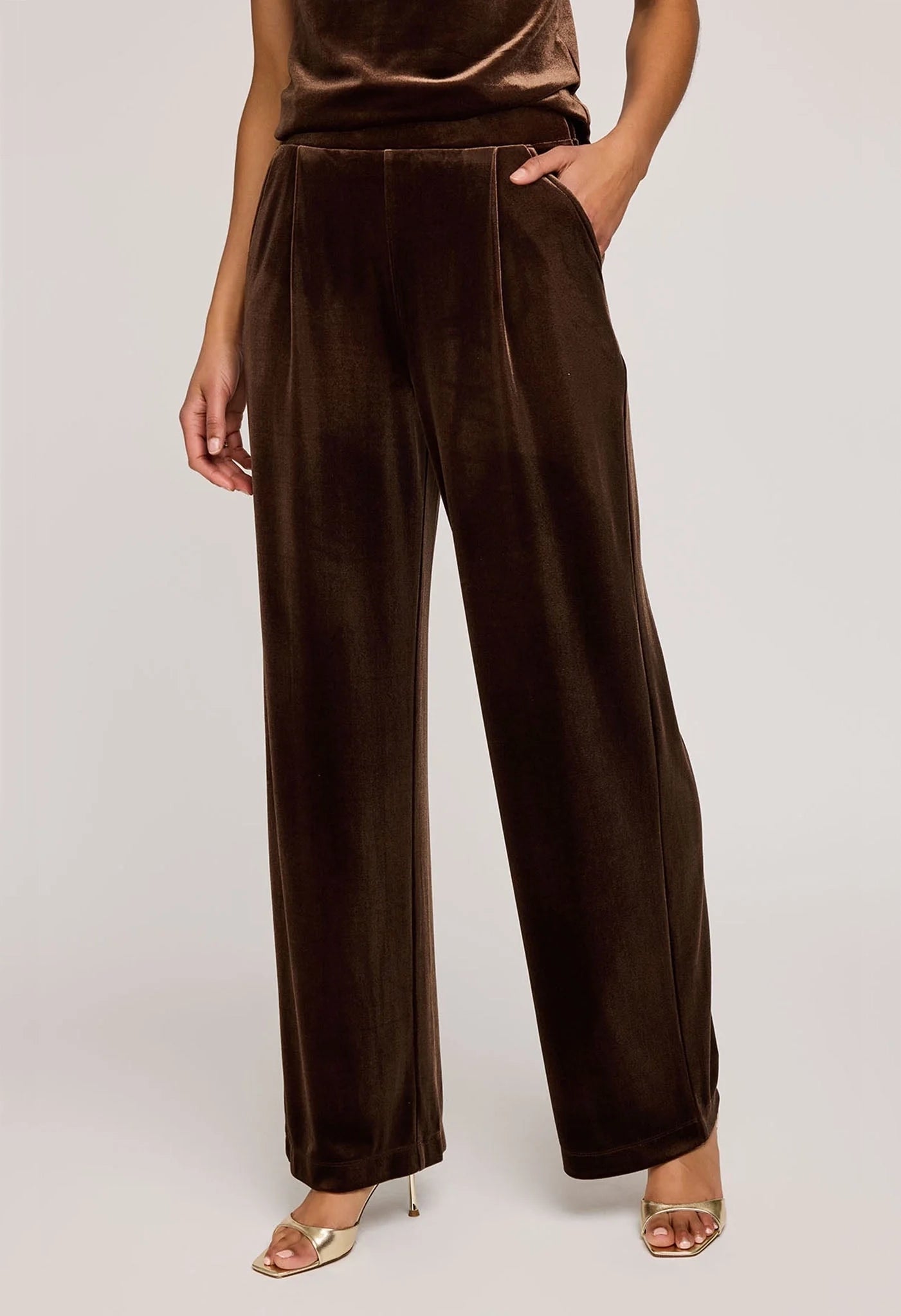 Sylvia Velvet Pant