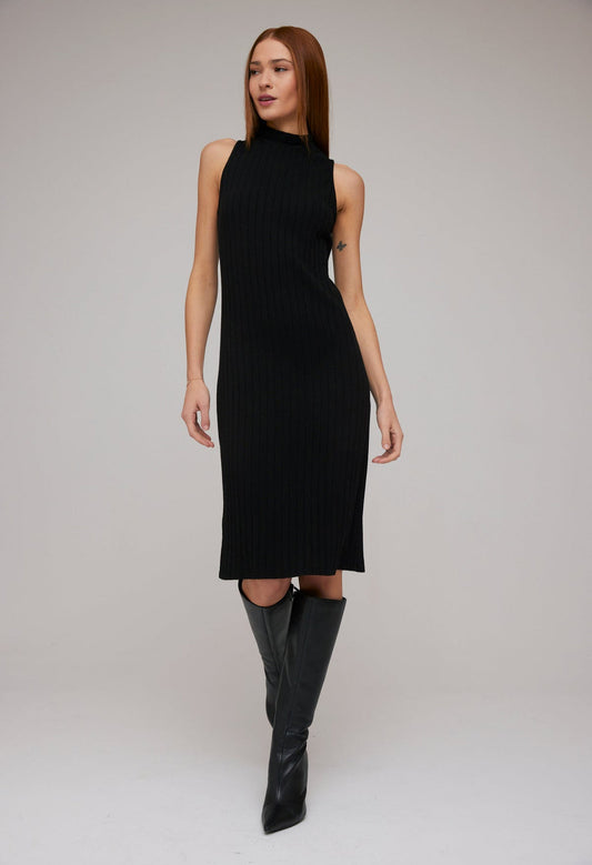 Turtleneck Sleeveless Dress