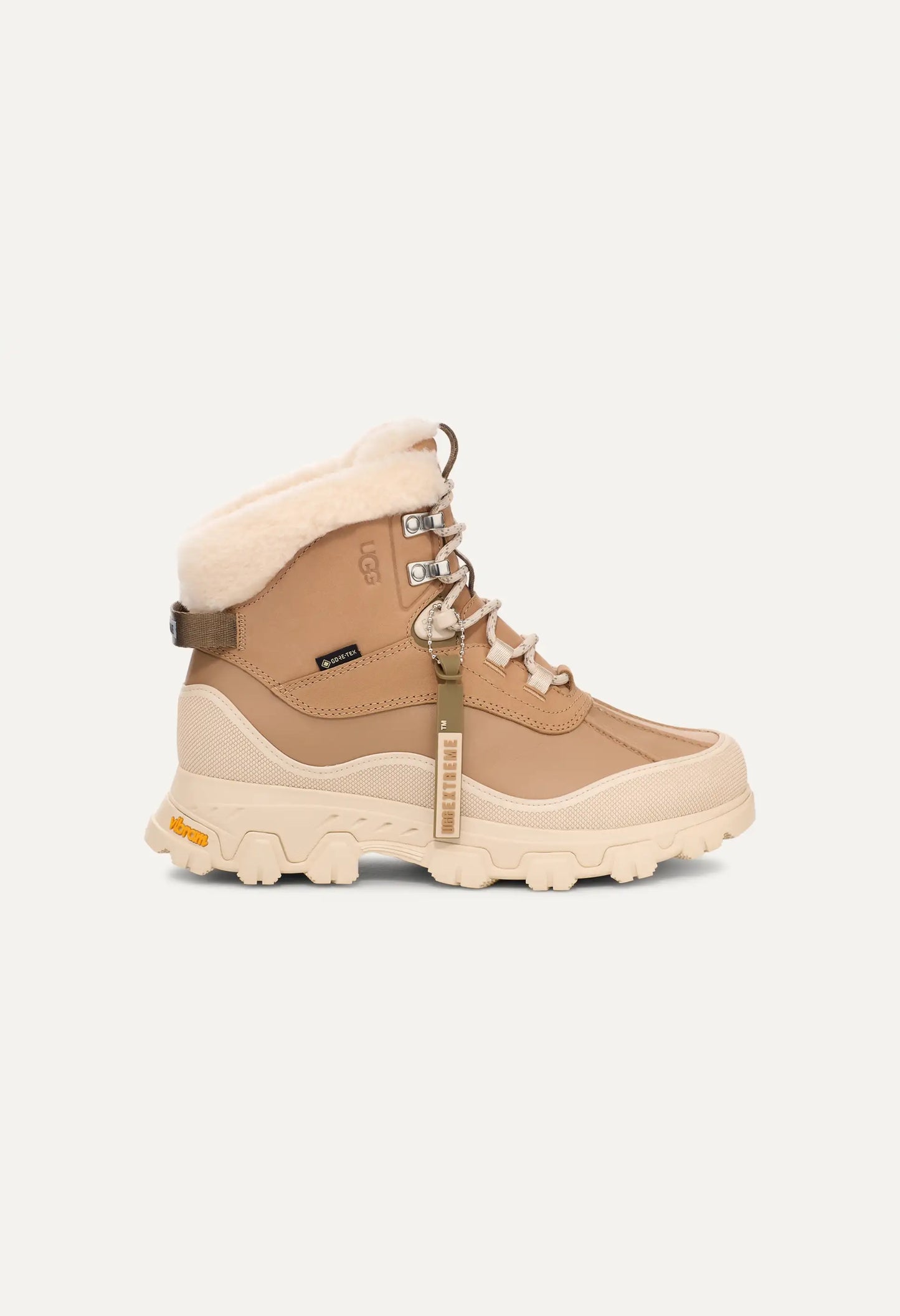 Adirondack Meridian Hiker