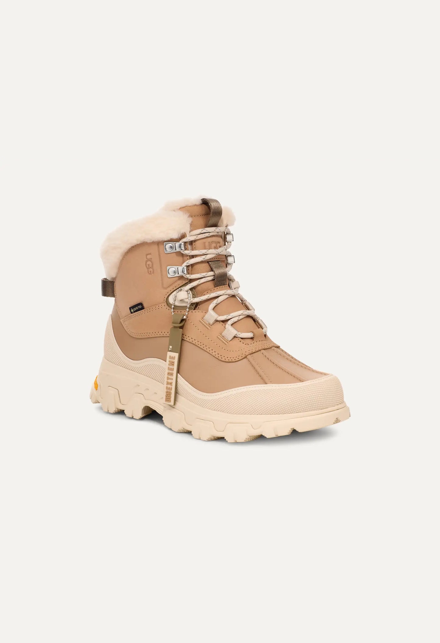 Adirondack Meridian Hiker
