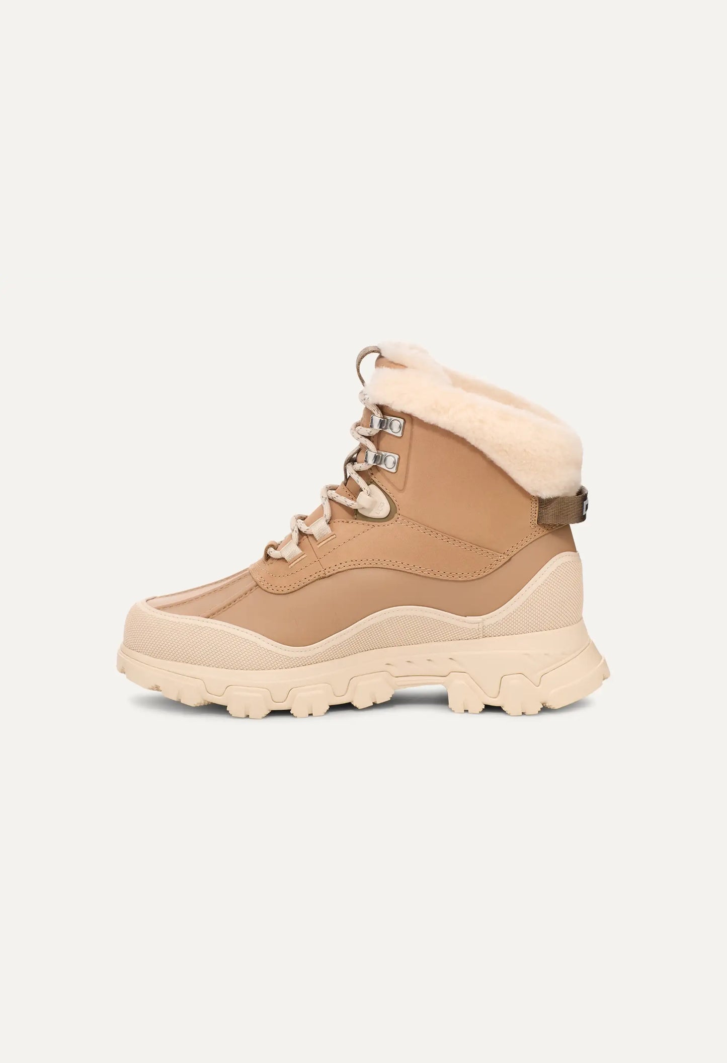 Adirondack Meridian Hiker
