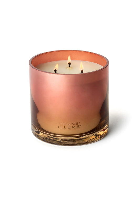 Paloma Petal Statement Glass Candle